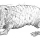 Illustration for article titled Ride China Miévilles Crazy Train in emRailsea/em